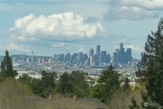 closeup of Your view of Seattle from inside the sunroom