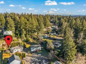 Beautiful greenspace behind the home, with Mt. Rainier making a gorgeous appearance.