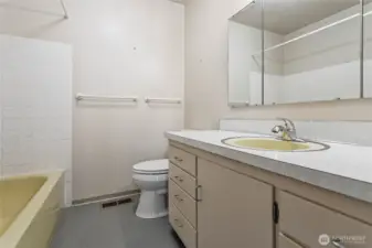 Main floor bathroom