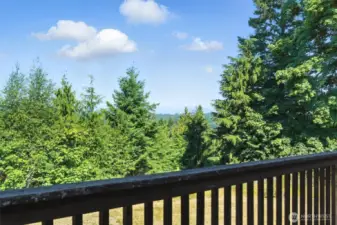 Trees that limit view are yours to clear