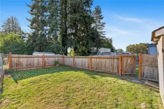 View from SW corner of yard looking NE