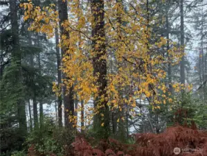 With a little landscaping, the view will be fantastic!