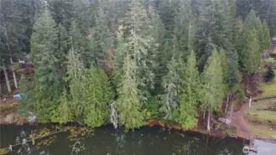 The clearing on either side are your neighbors... the trees are your 185' of shoreline