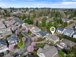 That's us...in an exclusive neighborhood near Martha Lake