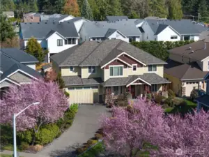 ...just a short drive from everything South SnoHoCo!