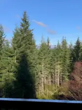 View of the Olympic Mountains