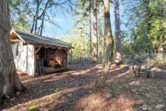 Wood shed in backyard with a firepit