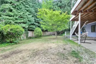 Backyard gets good sun but just needs a bit of your TLC to bring her back to lush life!