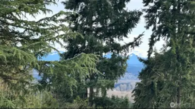 Mt Rainier peeking through your neighbor's trees (to the south). Maybe offer to thin / harvest a couple of trees to frame a picturesque view?