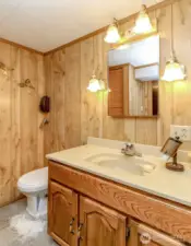 Lower Level Bathroom