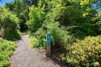 There's over four miles of trails in Lakemont, and this trailhead behind the house takes you up to Lewis Creek Park, or down to Village Park Dr.