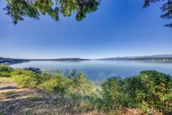 Looking south from the property towards Port Gamble.