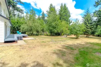 This Large backyard is fully fenced!