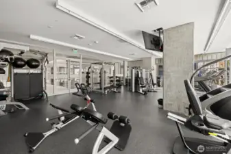 All the equipment you need without a gym membership!