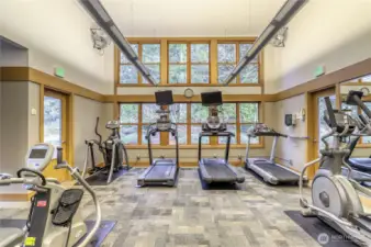 Tread mills for your cardio exercise.