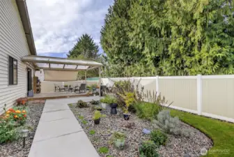 Fenced Backyard
