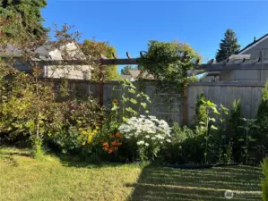 Thoughtfully designed landscaping for beauty in every season.