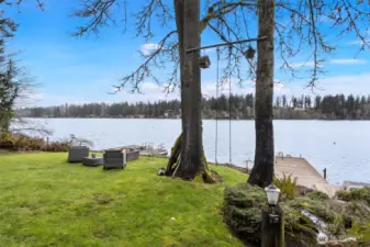 Waterfront yard and swing