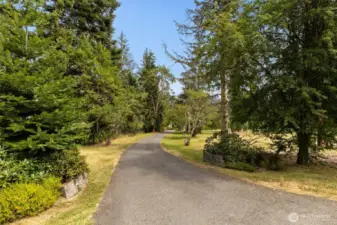 Secluded driveway.