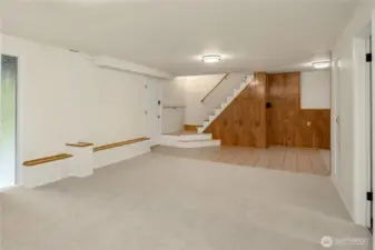 lower level rec room