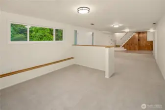 lower level rec room