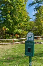 Pet friendly park!