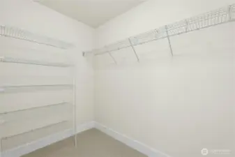 Another bedroom with a walk-in closet