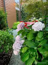 These photos taken during prime bloom months last year showcase the potential for this lush green yard. With the warmer months ahead, you'll be ready for outdoor bliss.