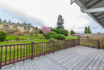 View of back yard from deck.