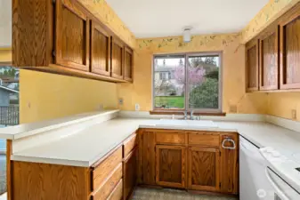 Window looks out to back yard.