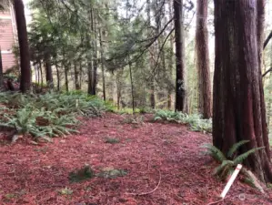 Survey Stakes Marking the Entry to the Left Side of the Property.