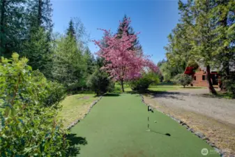 Putting green!