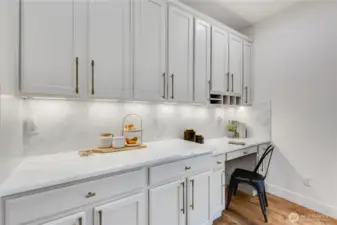 Elevated living with all the extra countertops and built in desk.