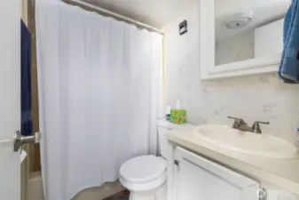 Full bath with new toilet