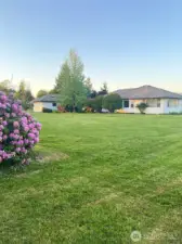 Beautiful front yard.