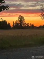 Imagine these sunsets!