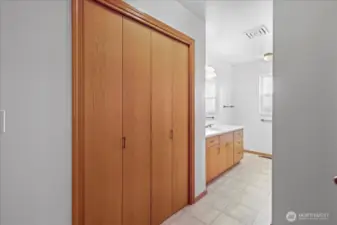 Guest bathroom with storage