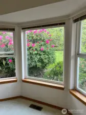 Outside view from Primary