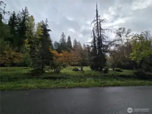 landscaping at the road.