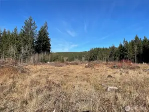 Zoning allows for a wide array of permitted uses and structures - the world is your oyster! Great for investors, builders/developers as can potentially subdivide into 3-4 buildable lots.