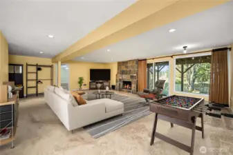 Lower level family room - walkout basement.