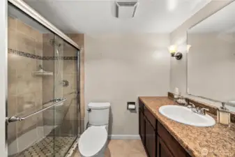 Lower level bathroom.