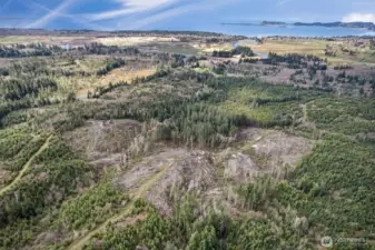 View Looking SouthWest