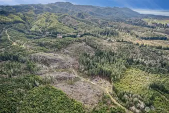 View looking SouthEast