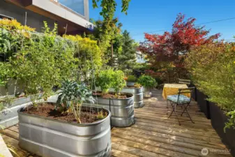 Like to garden? Enjoy growing your own veggies in your urban gararge-top garden. Apple trees and blueberry bushes surround the space.