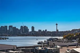 Spectacular Lake Union, city and Space Needle views