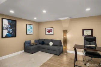 Lower level flex space.