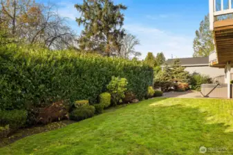 Spacious and private backyard.