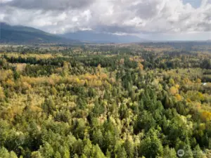 Additional ariel view of 38.68 forested acres