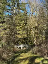 Fence at mid property.